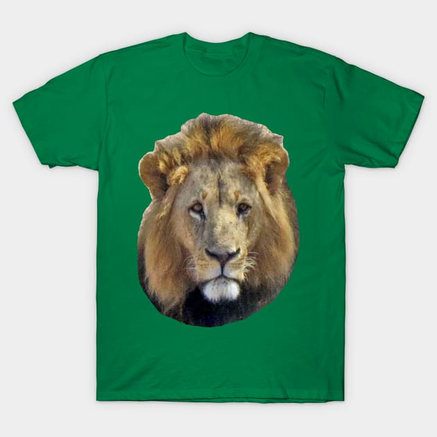 Lion T-Shirt by ellenhenryart